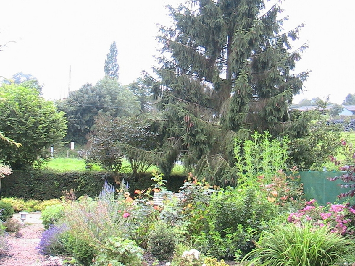 Gîte 2 pers. à Saint-Lô, jardin clos et barbecue - Photo 11