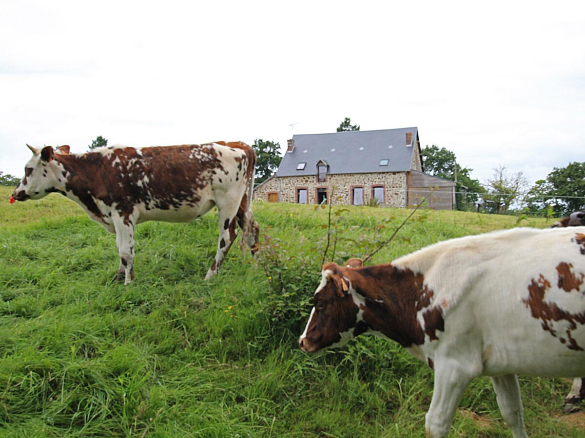 Gîte 9 pers. isolé en Normandie avec salle de jeux - Photo 10