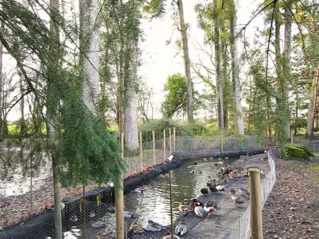 Maison de charme avec grand parc à Juilley, Gite 4 personnes à Juilley - Photo 20