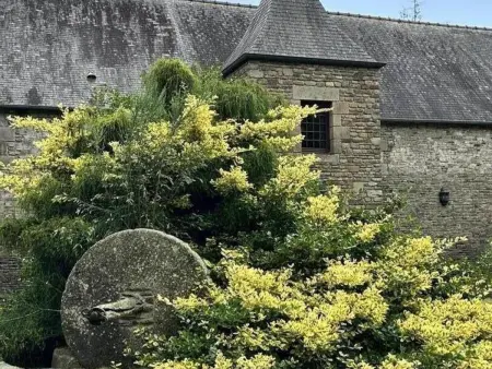 Maison de charme avec grand parc à Juilley, Gite 4 personnes à Juilley - Photo 33