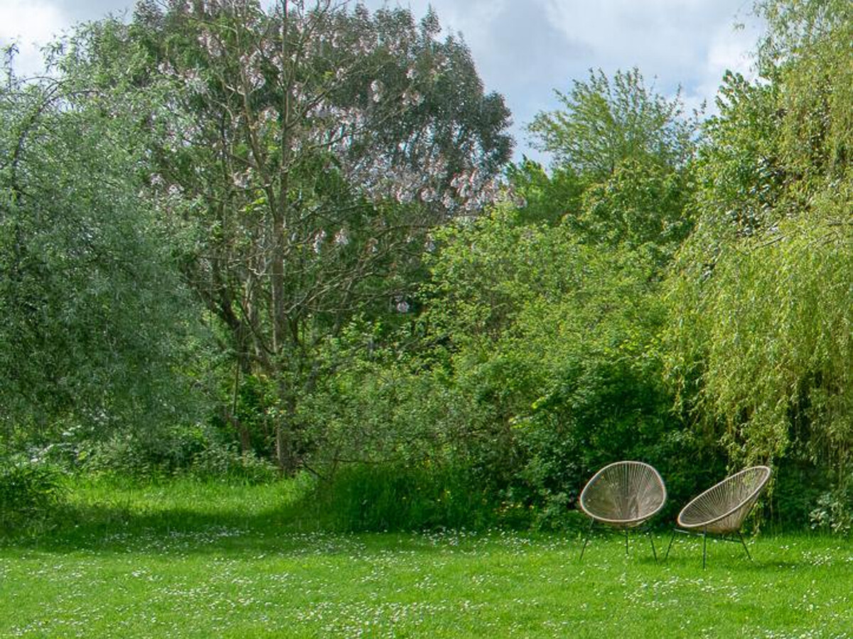 Éco-gîte ancien pressoir, sans TV ni internet, animaux acceptés - Photo 16