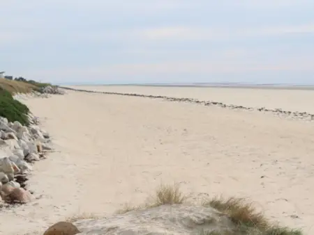 Maison confort, Denneville, 6 pers, près de la mer - Photo 11