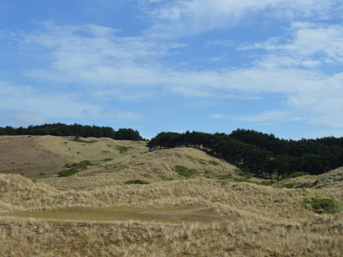 Maison bois 3 pers avec jardin clos près de Carteret - Photo 21