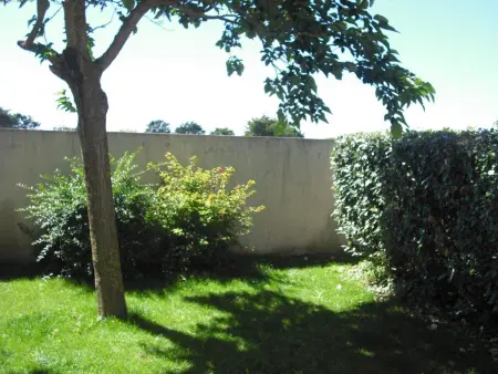 Gîte 5 pers près des dunes de Surtainville, jardin clos : photo 15