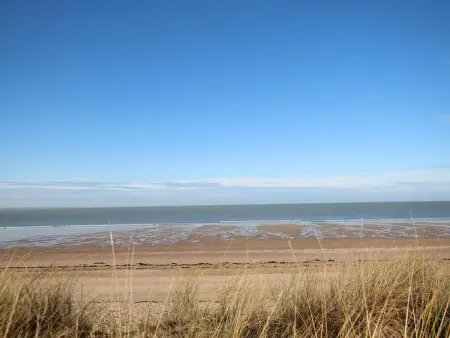 Gîte 5 pers près des dunes de Surtainville, jardin clos : photo 21