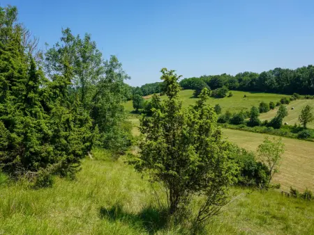 Charmant appartement à la ferme, 2 chambres, Wi-Fi, proche Auxi-le-Château - Photo 8