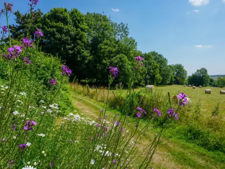 Charmant appartement à la ferme, 2 chambres, Wi-Fi, proche Auxi-le-Château - Photo 9