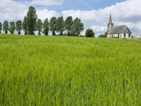 Charmant appartement à la ferme, 2 chambres, Wi-Fi, proche Auxi-le-Château - Photo 10
