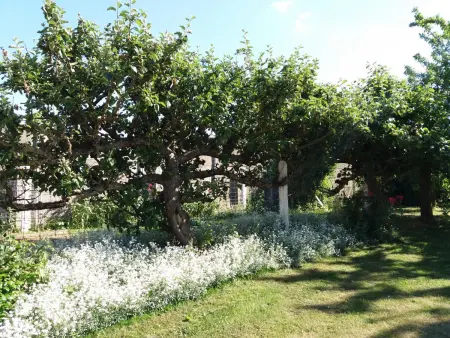 Gîte spacieux à Croisilles, 7 pers, terrasse sud, parking, wifi, proche Arras, parc expo, base nautique - Photo 11