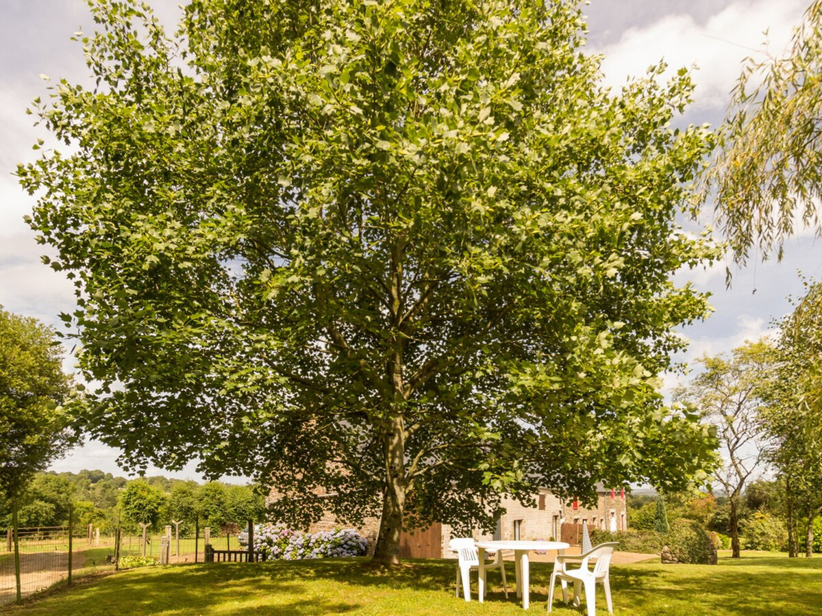 Gîte normand de plain-pied avec jardin clos à Montaigu-les-Bois - Photo 16