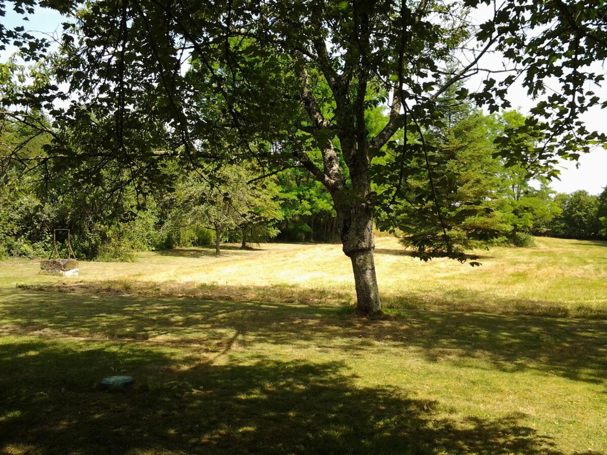 Maison XVIIIe à Cheillé, jardin 800 m² et GR3 - Photo 4