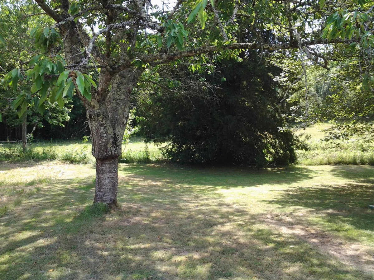 Maison XVIIIe à Cheillé, jardin 800 m² et GR3 - Photo 18