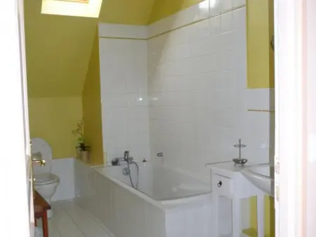 Gîte Tourangeau près de Loches avec Cheminée et Jardin - Photo 13