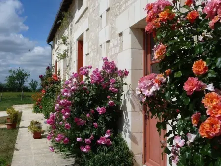 Gîte Tourangeau près de Loches avec Cheminée et Jardin - Photo 15