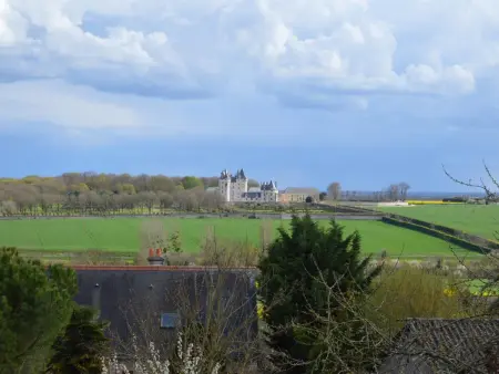 Gîte 6 chambres avec jardin clos et vue sur château : photo 25