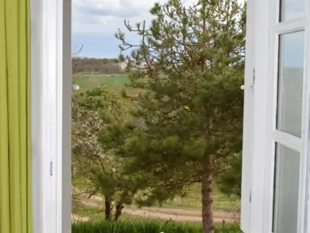 Gîte 6 chambres avec jardin clos et vue sur château : photo 33