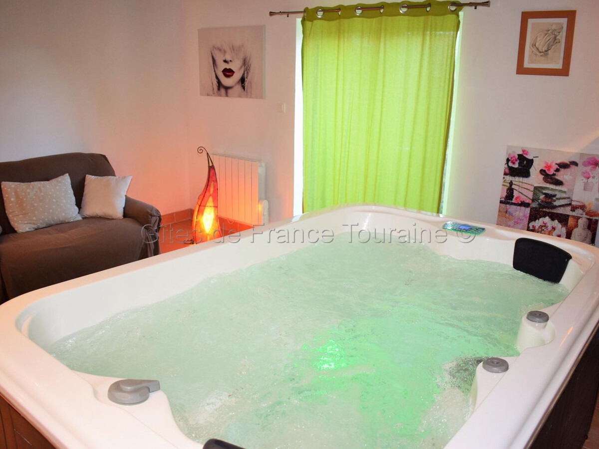 Gîte de charme Bridoré avec spa privatif illimité - Photo 1