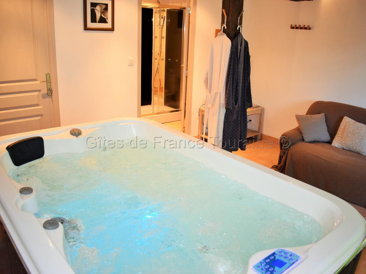 Gîte de charme Bridoré avec spa privatif illimité - Photo 15