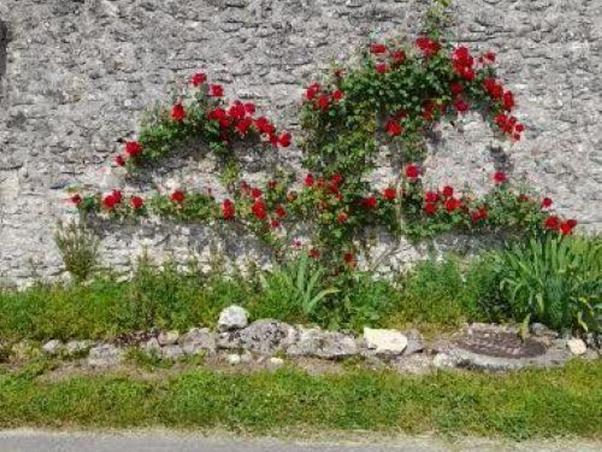 Gîte campagne 3 chambres en Touraine, près de Chenonceau - Photo 31