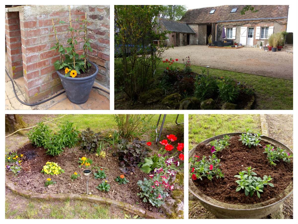 Gîte 4 pers. avec jardin et animaux à Saint-Nicolas-des-Motets - Photo 3