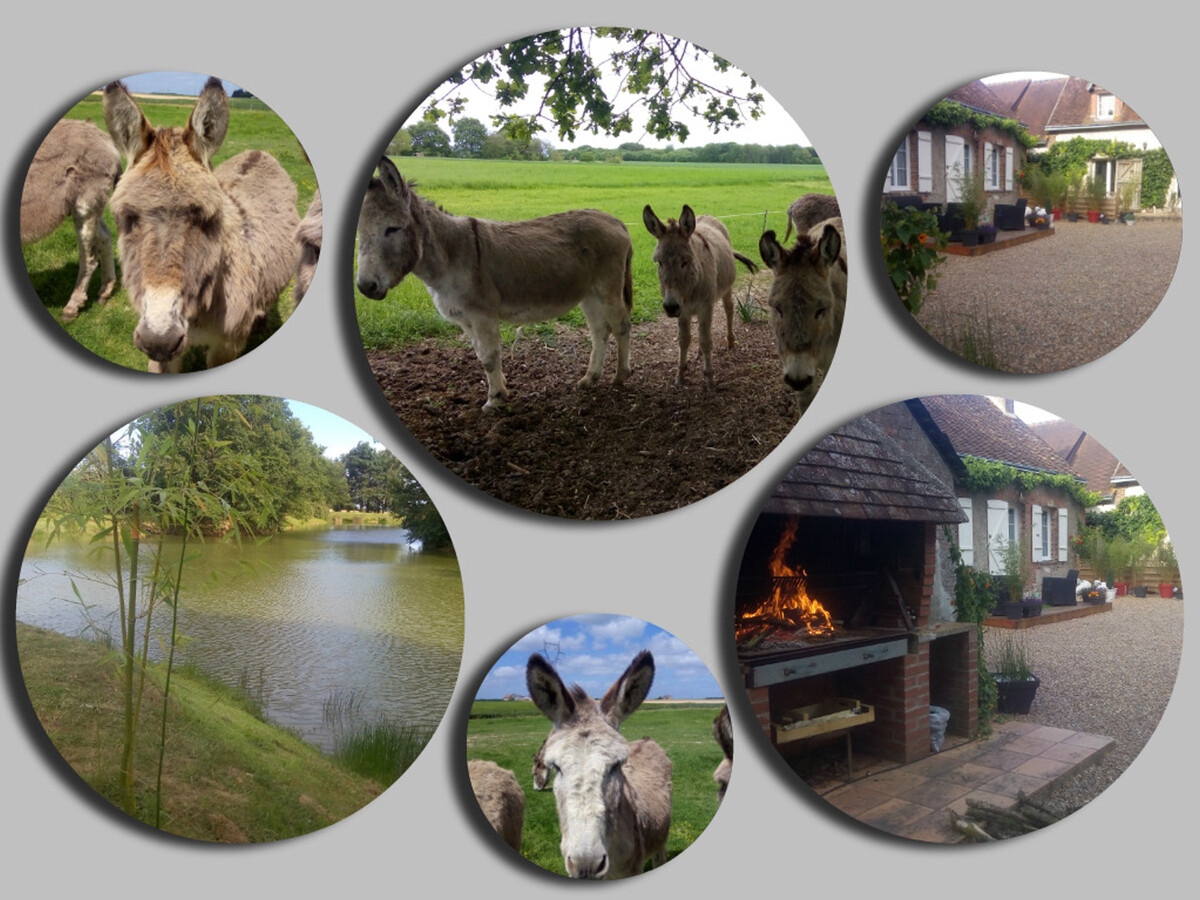Gîte 4 pers. avec jardin et animaux à Saint-Nicolas-des-Motets - Photo 24