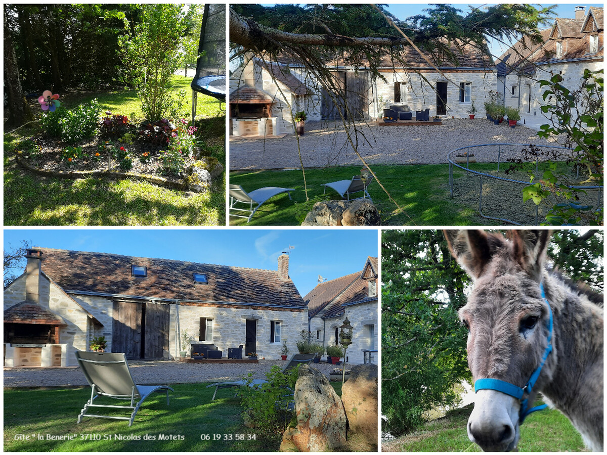Gîte 4 pers. avec jardin et animaux à Saint-Nicolas-des-Motets - Photo 27