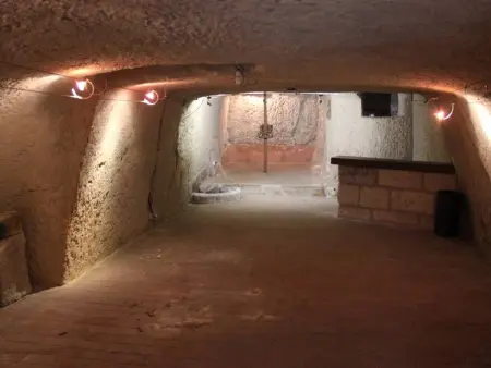 Gîte Médiéval Croglodytique à Loches avec Animaux Acceptés - Photo 14