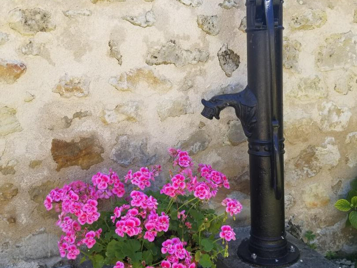 Gîte en tuffeau rénové, cour privative, vélos à Savigny - Photo 19