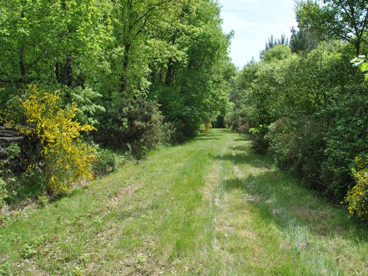 Gîte Maison de Vigneron, 6 pers., Jardin Clos en Forêt - Photo 28