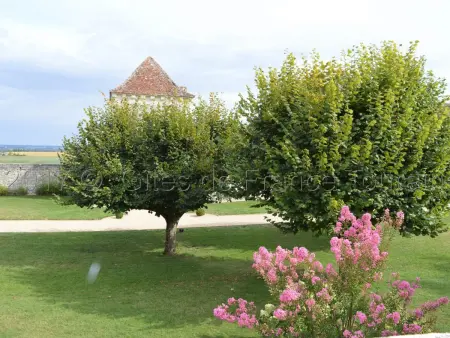 Charmante maison de campagne dans une ferme rénovée - Photo 23