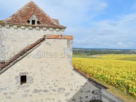 Charmante maison de campagne dans une ferme rénovée - Photo 24