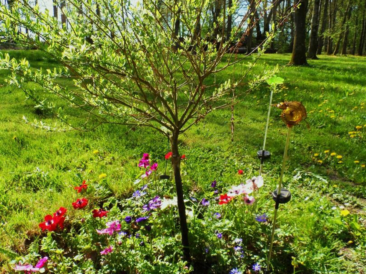 Gîte 160 m² Touraine, 8 pers, 1 ha privé, calme - Photo 25