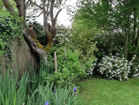 Gîte de charme avec jardin, proche Chenonceau et Beauval - Photo 24