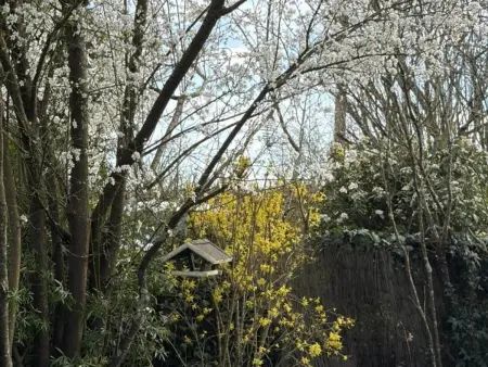 Gîte de charme avec jardin, proche Chenonceau et Beauval - Photo 26