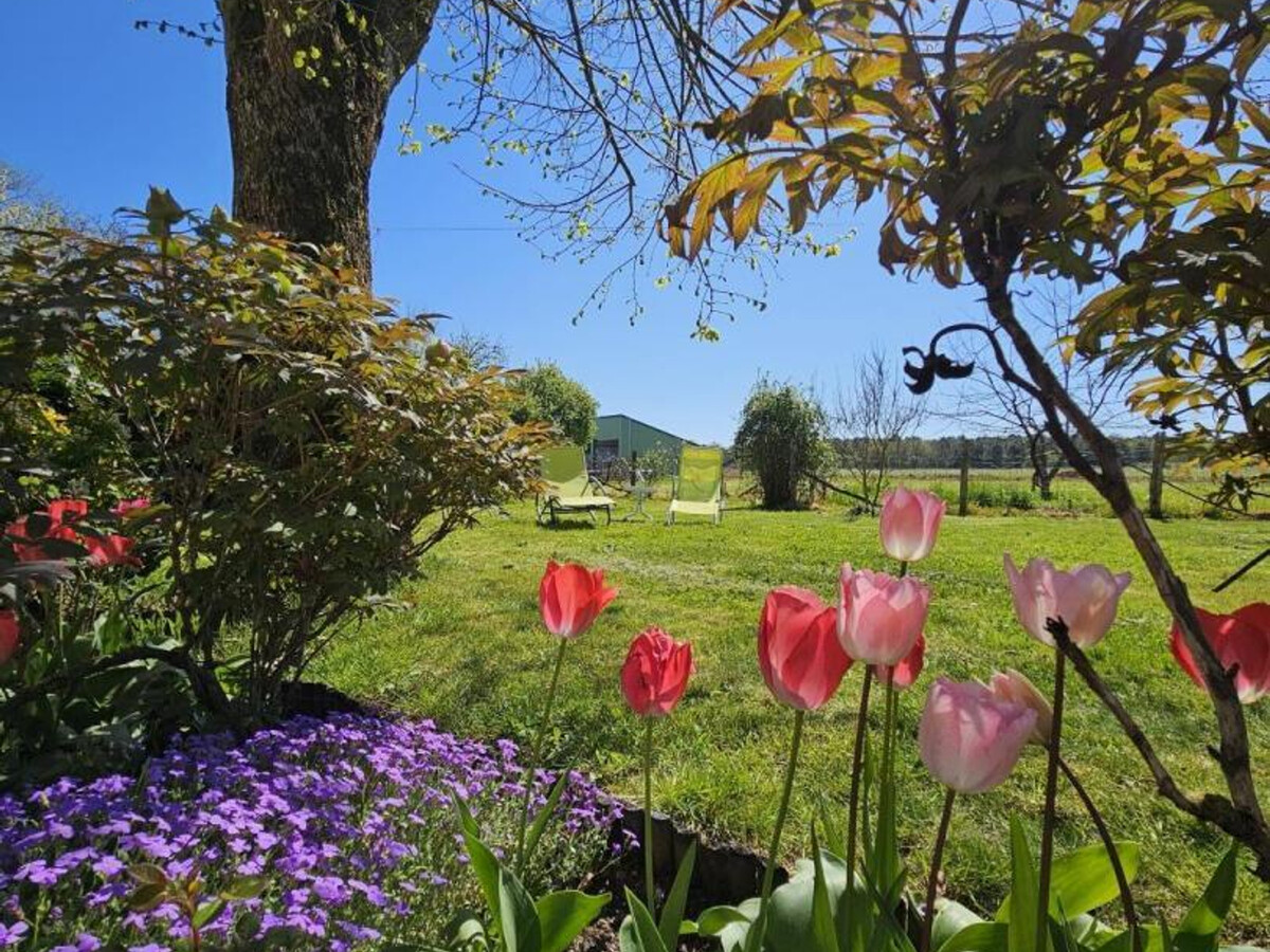 Gîte XVIIIe en Touraine du Sud, 3 chambres, jardin 1000m² - Photo 3