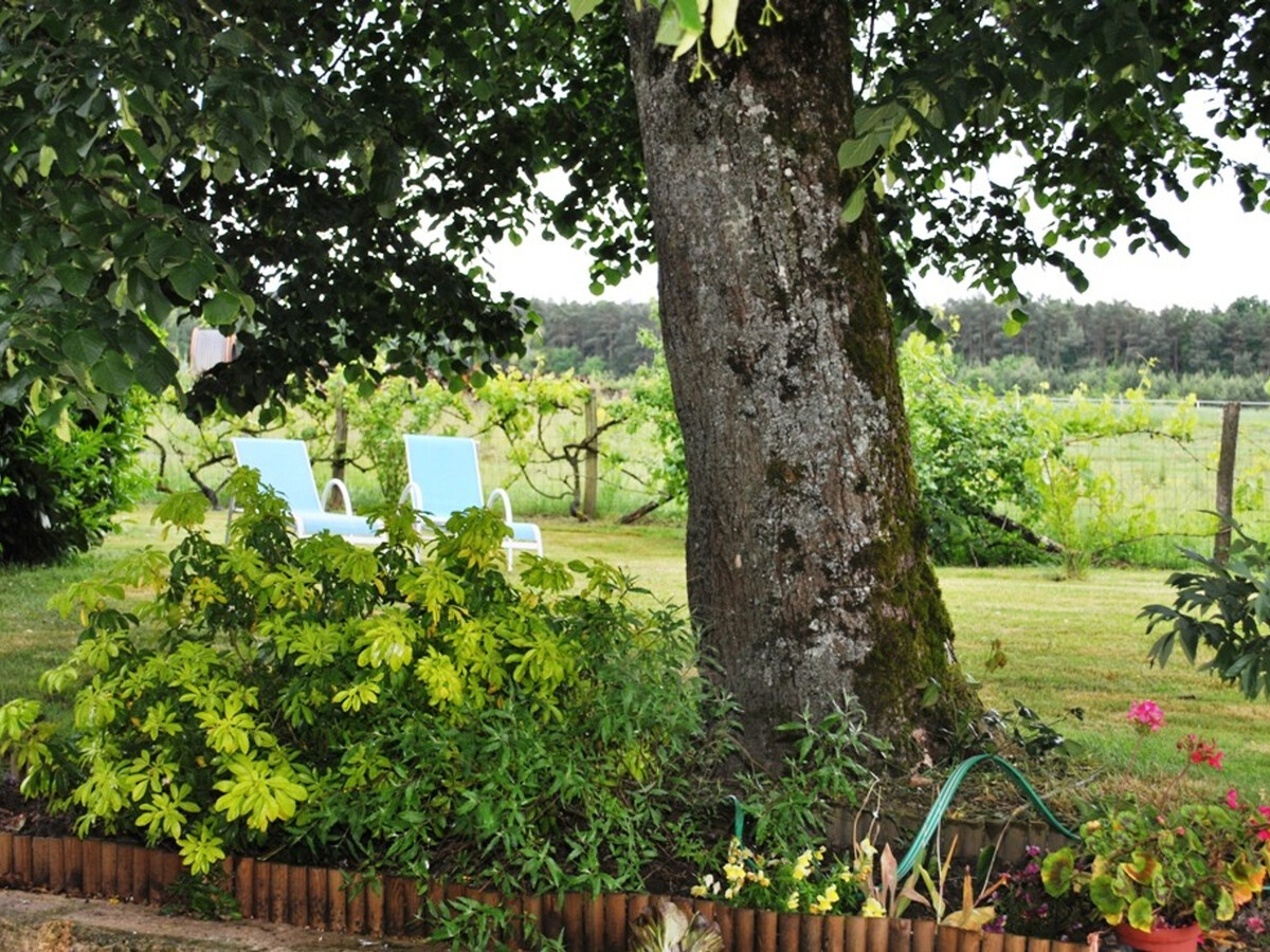 Gîte XVIIIe en Touraine du Sud, 3 chambres, jardin 1000m² - Photo 23