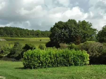 Gîte familial à Chemillé-sur-Indrois, 7 pers, confort et jardin - Photo 21