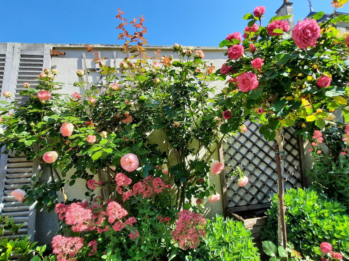 Gîte 10 pers. Touraine : vignobles Chinon et Vienne - Photo 35