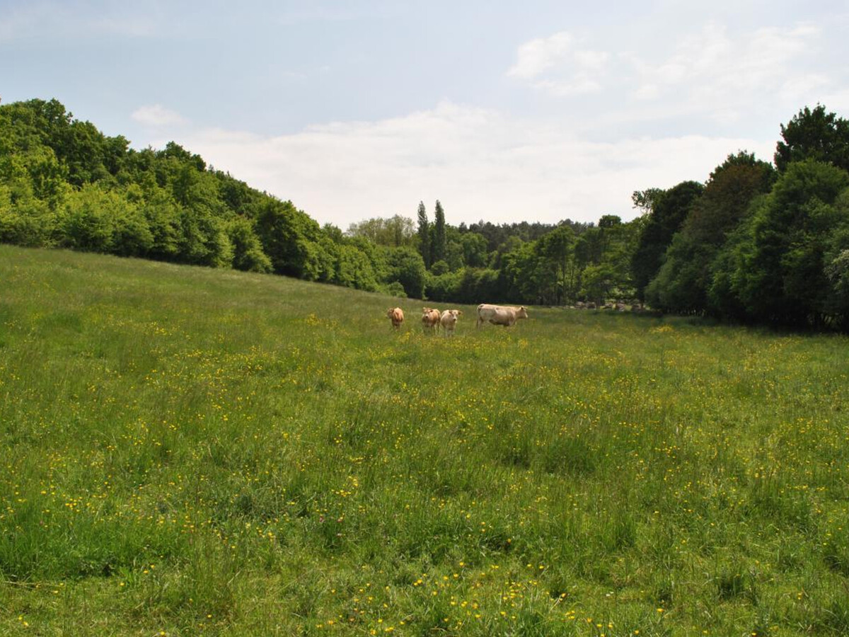 Gîte paysan XIXe avec terrasse sur ruisseau à Cheillé - Photo 27