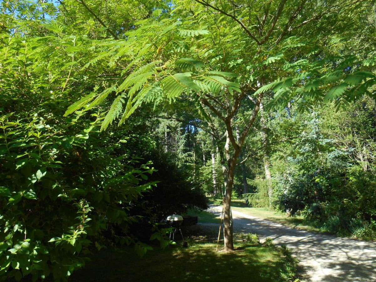 Gîte 2 pers. dans une tour du XVIIIe, parc boisé 3 ha - Photo 24