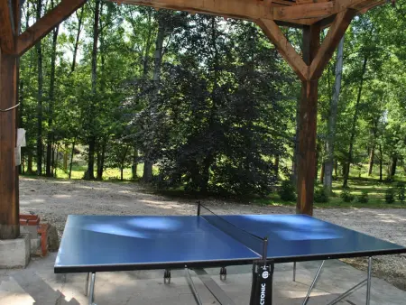 Gîte douillet en forêt d'Amboise, parc boisé 2.5 ha, cheminée, vélos, WiFi, jardin privé, animaux acceptés - Photo 2