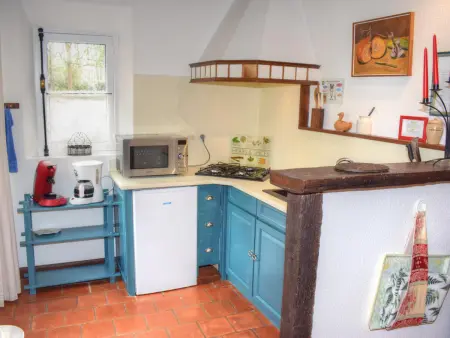 Gîte douillet en forêt d'Amboise, parc boisé 2.5 ha, cheminée, vélos, WiFi, jardin privé, animaux acceptés - Photo 5