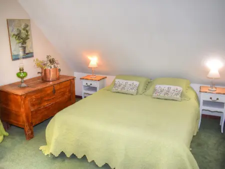 Gîte douillet en forêt d'Amboise, parc boisé 2.5 ha, cheminée, vélos, WiFi, jardin privé, animaux acceptés - Photo 14