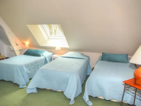 Gîte douillet en forêt d'Amboise, parc boisé 2.5 ha, cheminée, vélos, WiFi, jardin privé, animaux acceptés - Photo 18