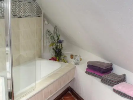 Gîte douillet en forêt d'Amboise, parc boisé 2.5 ha, cheminée, vélos, WiFi, jardin privé, animaux acceptés - Photo 24