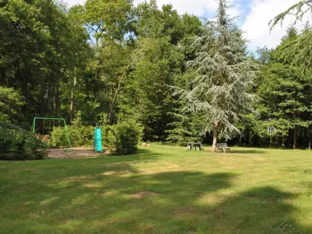 Gîte douillet en forêt d'Amboise, parc boisé 2.5 ha, cheminée, vélos, WiFi, jardin privé, animaux acceptés - Photo 29