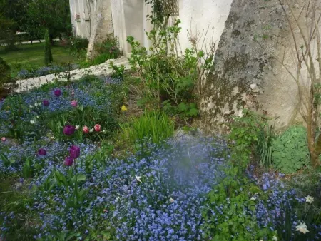 Gîte douillet en forêt d'Amboise, parc boisé 2.5 ha, cheminée, vélos, WiFi, jardin privé, animaux acceptés - Photo 30