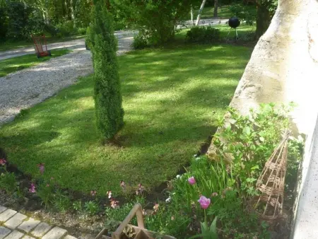 Gîte douillet en forêt d'Amboise, parc boisé 2.5 ha, cheminée, vélos, WiFi, jardin privé, animaux acceptés - Photo 35