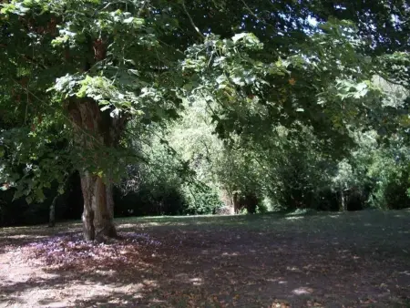 Ancien logis familial avec parc et activités, près des Châteaux de la Loire, tout inclus, animal accepté - Photo 6