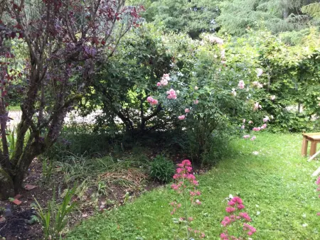 Maison Authentique avec Parc, Cheminée et Équipements Modernes au Cœur de la Vallée de la Loire - Photo 5